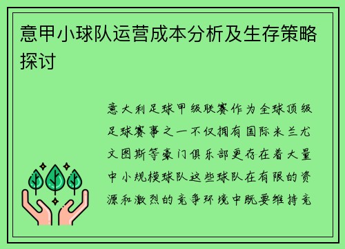 意甲小球队运营成本分析及生存策略探讨