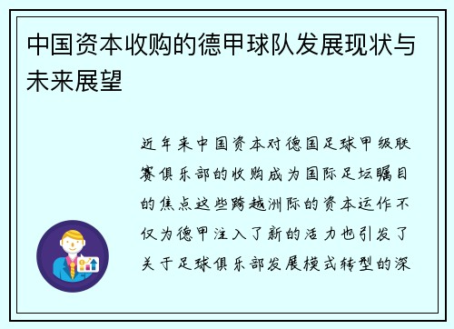中国资本收购的德甲球队发展现状与未来展望
